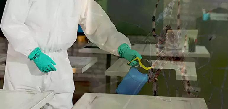 Why Buyers Still Want Homes With Pest Infestations in Lubbock, TX?
