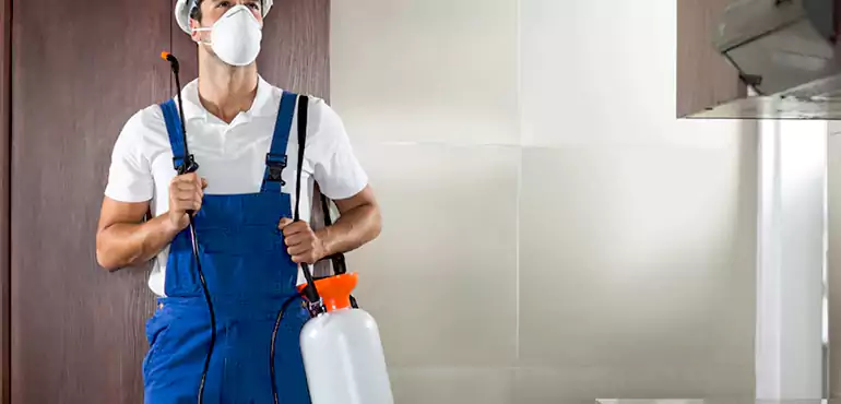 Why Lubbock Homeowners Choose Us When Pests Make Selling Difficult