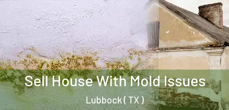  Sell House With Mold Issues Lubbock ( TX )